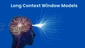 Long Context Window Models